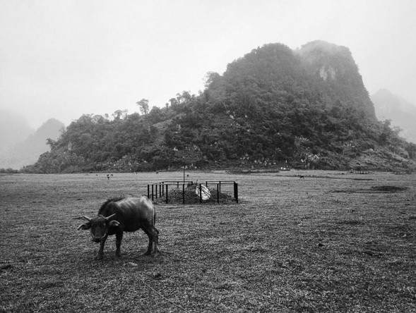 Lang que Viet binh di qua anh cua sao Kong Skull Island-Hinh-8